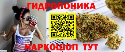 стафф Заволжье